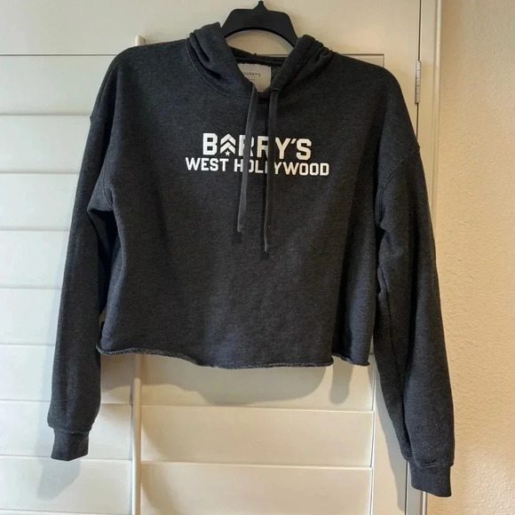 Barry’s Bootcamp Tops - BARRY’S BOOTCAMP EUC Cropped Gray Fleece Hoodie Sweatshirt L WEHO West Hollywood